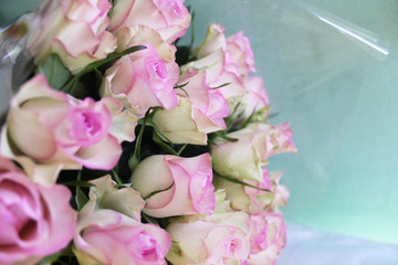  pink roses, bouquet of roses