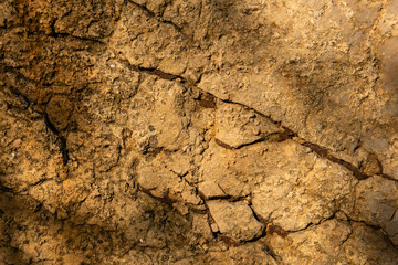 Stone texture