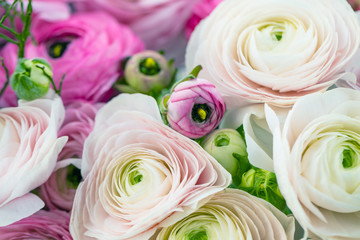 Frühlingsblumen  - Ranunkeln blumenstrauß hintergrund