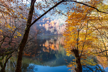 Sevenlakes National Park in Autumn Bolu Turkey. Yedigoller milli parkı