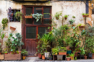 Fototapeta na wymiar A wooden door on the facade of the urban historic building and many flowers and plants in the flowerpots front view, Gothic Quarter, Barcelona, Spain