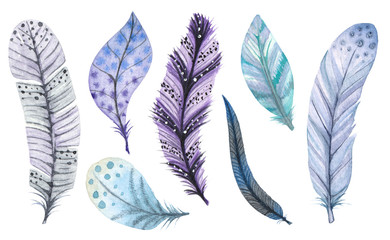 illustration with watercolor decorative feathers of blue and violet color