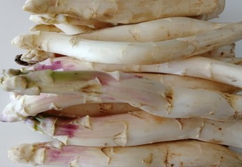 Asperges blanches 