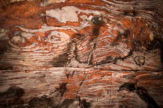 Abstract Swirling Sandstone Patterns in Petra, Jordan