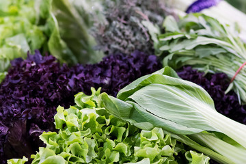 Set of fresh vegetables. Food background.