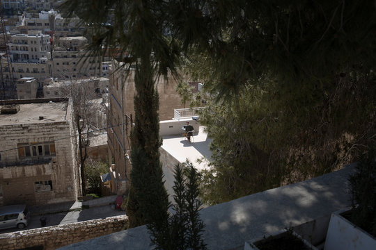 Hilly Urban Landscape with Traditional Buildings, Rooftops, and Green Trees Framing the View