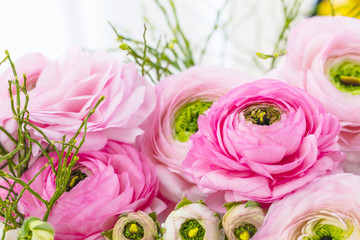 Frühlingsblumen  - Ranunkeln blumenstrauß hintergrund