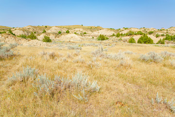 Theodore Roosevelt National Park in North Dakota, USA
