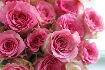  bouquet of flowers, pink rose