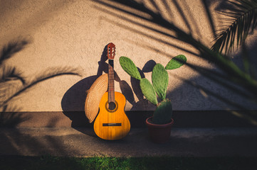 Cactus and guitar and sombrero as Mexican symbols with palm tree making shadow on the wall. Cinco...