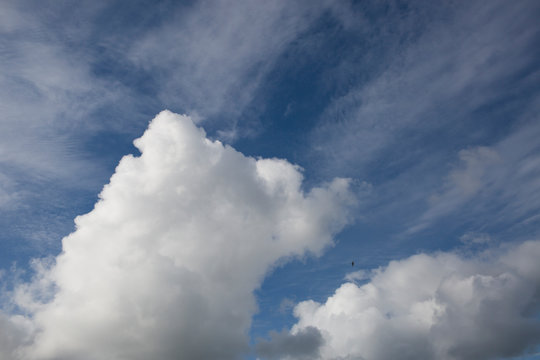 Fluffy White Cumulus Clouds in a Bright Blue Sky