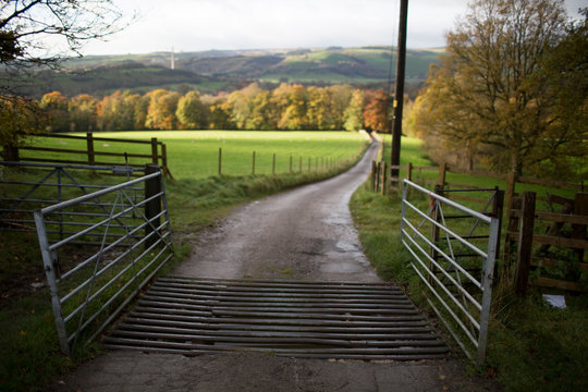 Open gate and cattle grid on rural road leading to autumn fields
