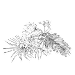 A composition of tropical plants, palm leaves