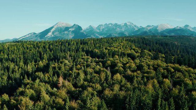 mountains on a sunny day with forest in colors of autumn