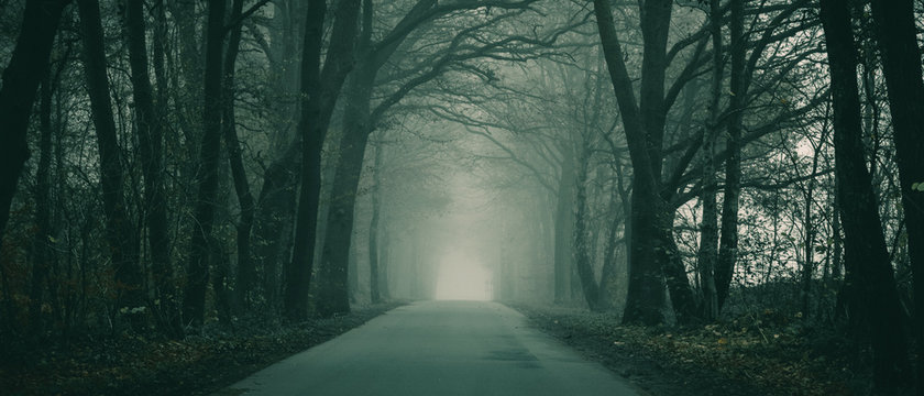 Gruseliger Weg im Nebel