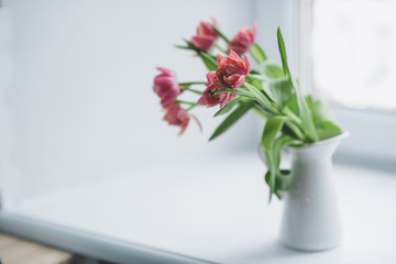 Pink peony tulips in a white jug stand on the window.