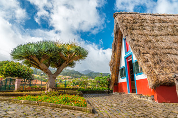 Fototapeta na wymiar Traditional strawy hut with dragon tree palma on Madeira island, Santana, Portugal