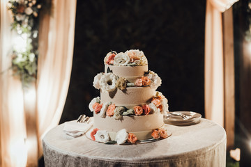 Obraz na płótnie Canvas Wedding cake 