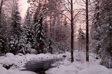 River flowing through the snowy forest landscape in sun set
