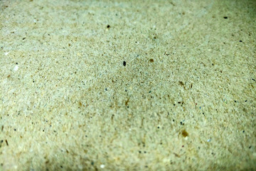 Blurred background wall, without focus, close up, background.