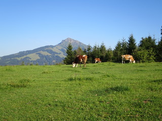 Tirol