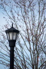 Fototapeta na wymiar streetlamp