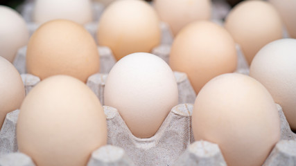 Close-up view of raw chicken eggs in egg box