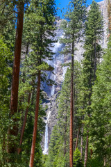 Obraz premium Woods view of waterfall