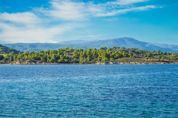panorama beautiful scenery landscape of forest sea waterfront wilderness environment background...