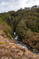 Wairere stream river in Tongariro National Park in New Zealand