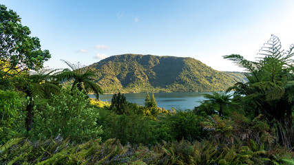 Fototapeta na wymiar View of Lake Rotokakahi in New Zealand