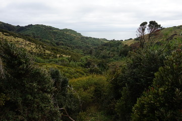 Muelle de Las Almas - Chiloé Island - Chile