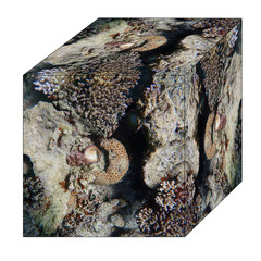 three D cube underwater landscape