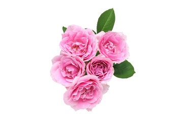 薔薇の花束