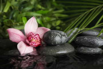 Fototapeta na wymiar Zen stones and exotic flower in water against blurred background. Space for text