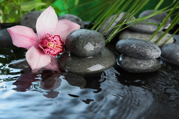 Fototapeta na wymiar Zen stones and beautiful exotic flower in water