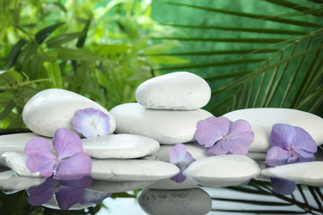 Fototapeta na wymiar Zen stones and exotic flowers in water on blurred background