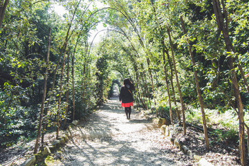 jardines palacio Pitti , florencia