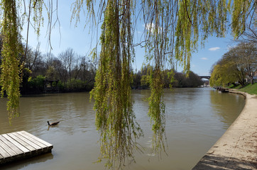 ile aux loup island and Marne river quay in Le Perreux  sur Marne city