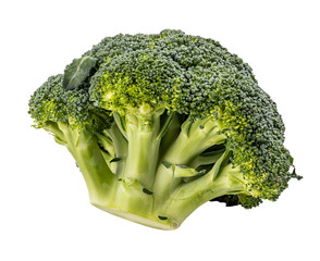 Broccoli isolated on white background. Clipping path