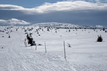 Magistrala Karkonoska, Czechy, Zlate navrsi, Złote Wzgórze, Vrbatova bouda. Na nartach biegowych © Iwona