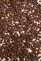 Roasted coffee beans in bulk on a light pink background