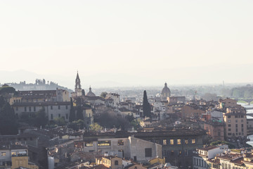Fototapeta na wymiar panoramica de Florencia y detalles de sus edificios