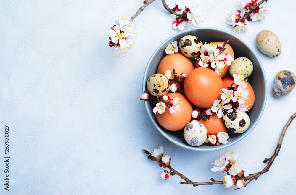 Sticker Eggs and Branches in Blossom, Easter Holiday Background