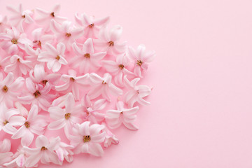 Fototapeta premium Pile of spring hyacinth flowers on color background, closeup. Space for text