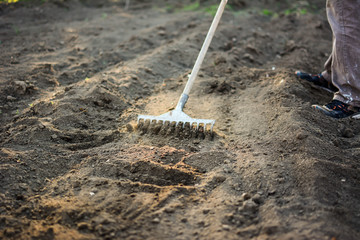 Farmer working in the garden with the help of a rake leveling plowed land. The man with the rake treats the soil in the spring for an organic food production method.
