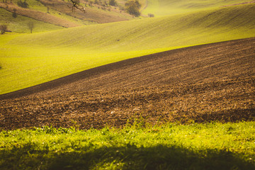 Obraz premium Autumn wavy fields