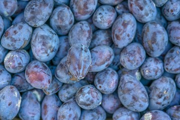 Close up of fresh plums, top view 