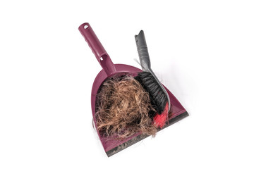 Red dustpan und strands of cut hair isolated on white background