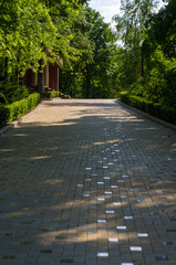 early summer landscape, old Park, trees, bushes, green grass, bright green leaves